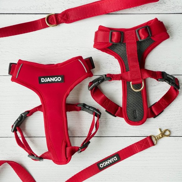 ✨NWOT✨Django Harness & Leash Set - Picture 2 of 7